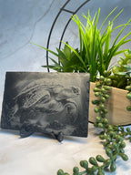 Decorative engraved slate with turtle design on a stand with plants in the background