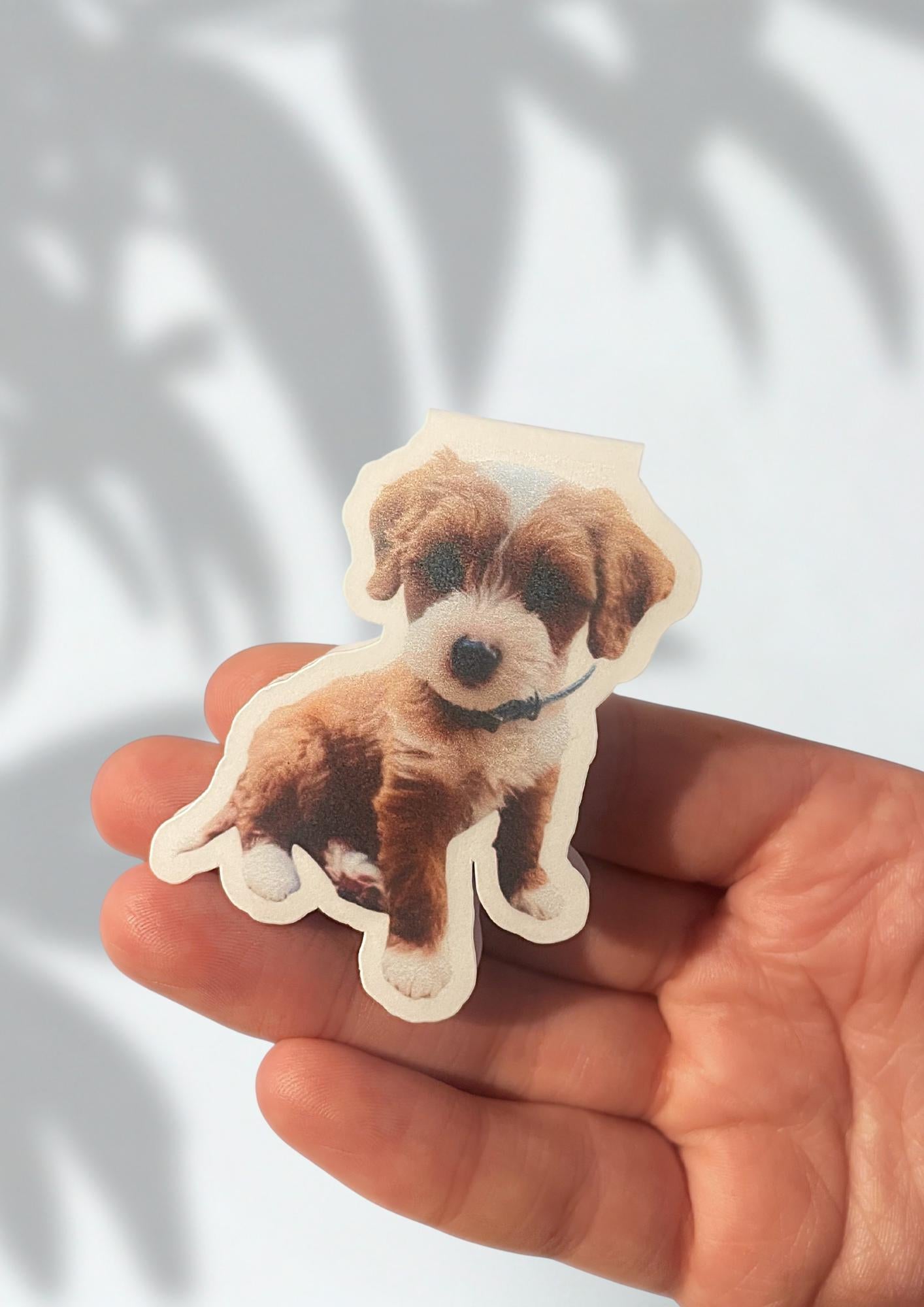 Personalised Pet Magnetic Bookmarks