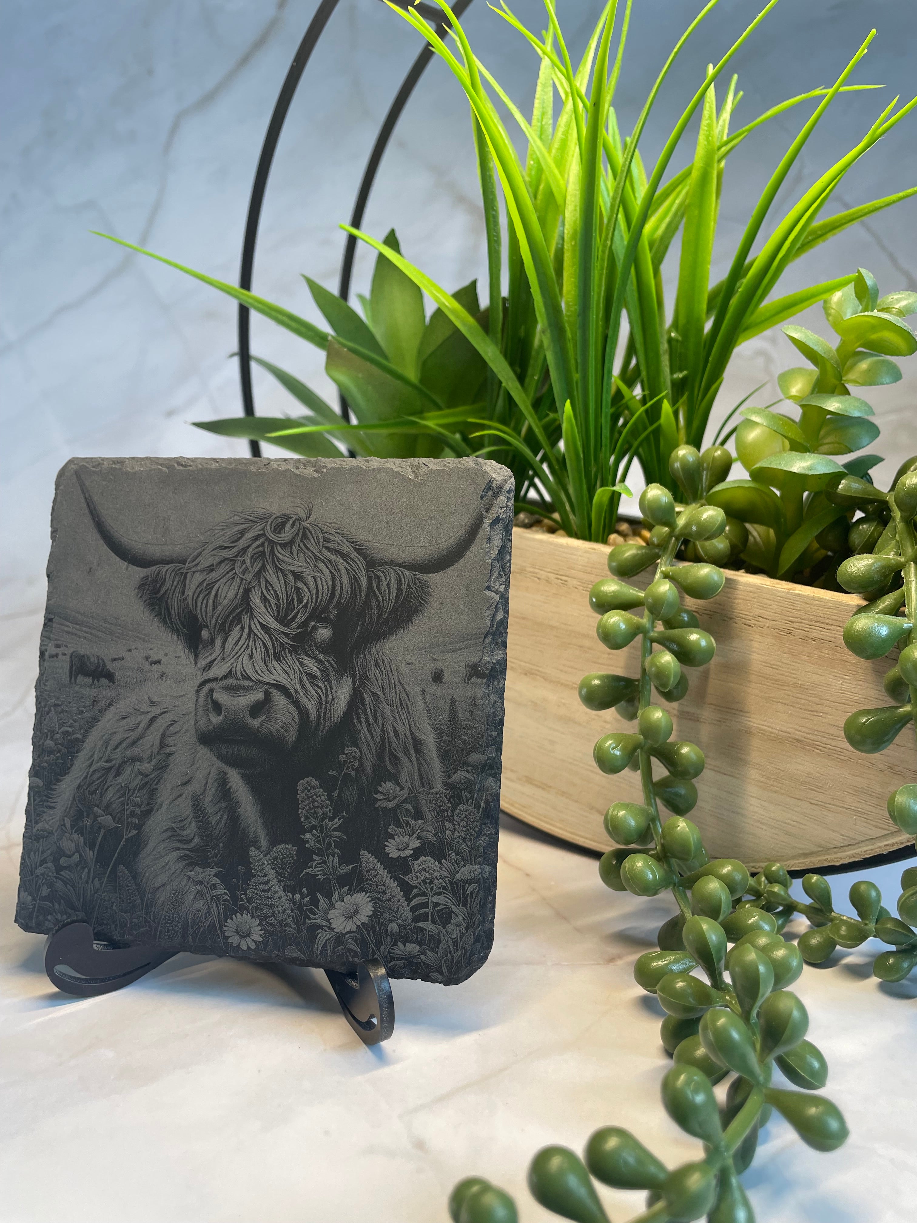 Highland Cow Engraved Slate Coaster – Rustic Laser Engraved Scottish Cow Decor