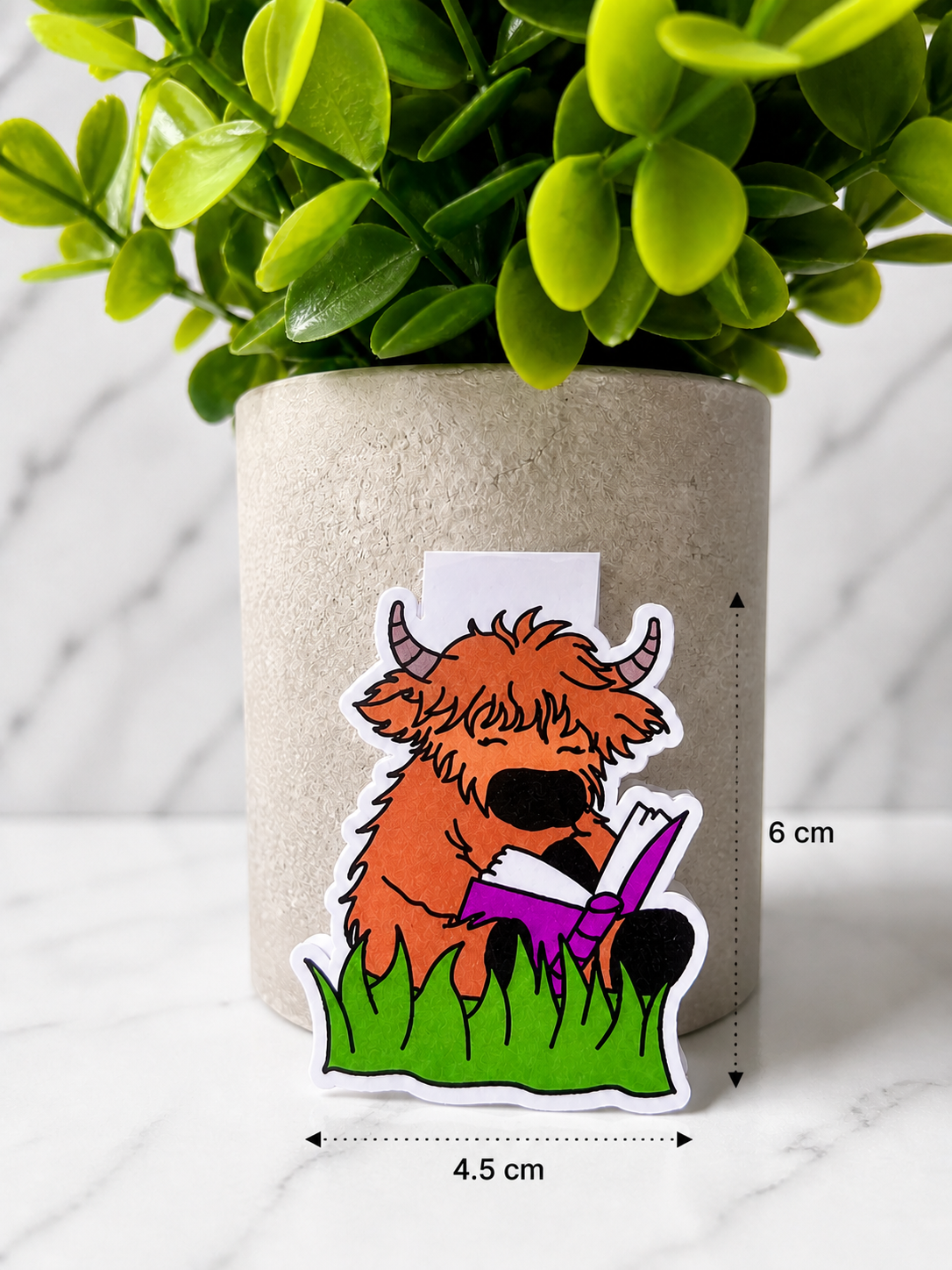 Highland cow magnetic bookmark shaped design holding a book, shown with measurements 6 cm by 4.5 cm against a neutral plant background